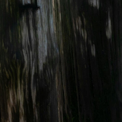 You Were a Shooting Star (Gone Too Fast) album art