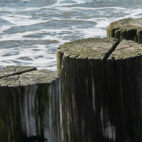 Yasa Rogue Planet (No Home, No Sun) album art