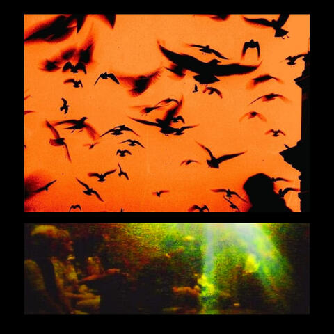 sonhos de kimera album art