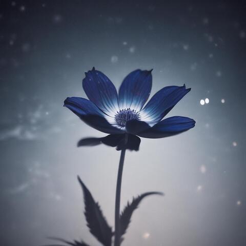 A Noose of Regret album art