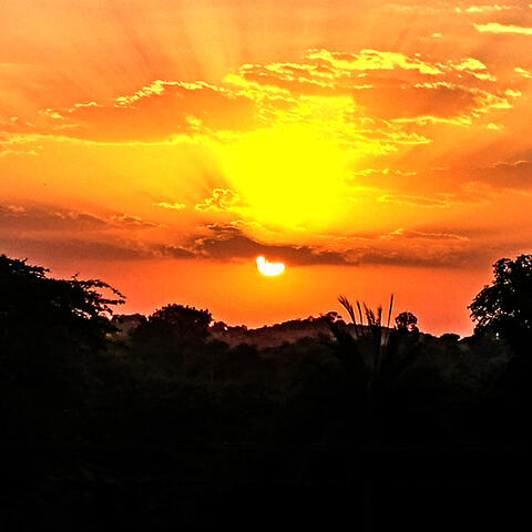 Sun comes in album art