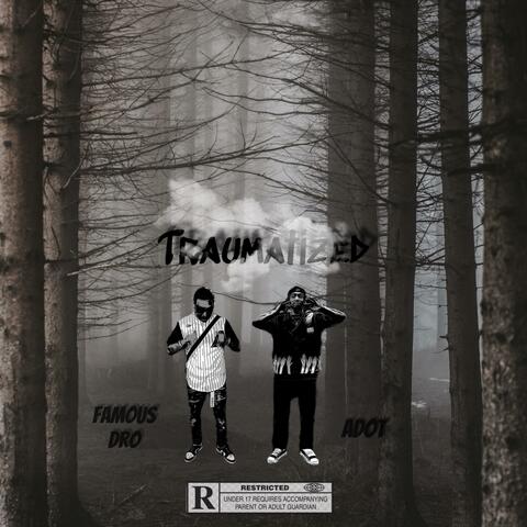 Traumatized album art