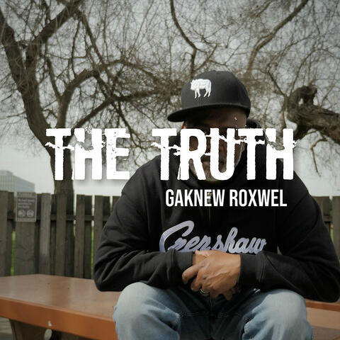 The Truth album art