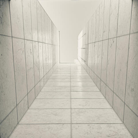 A World In Gray album art