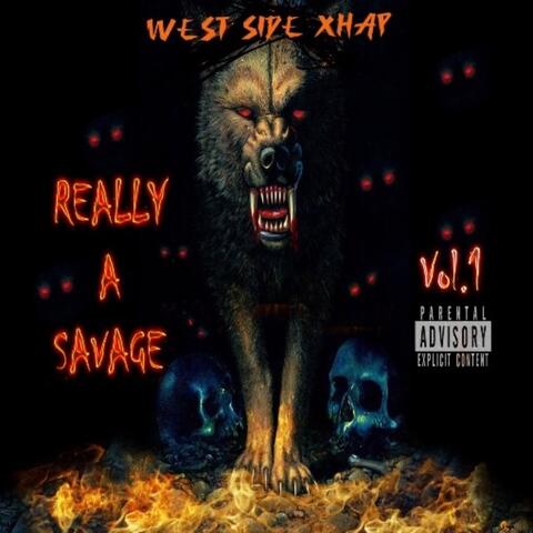 Really A Savage Vol.1 album art
