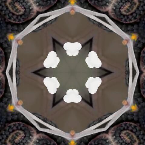 ISLANDS WOUNDS album art