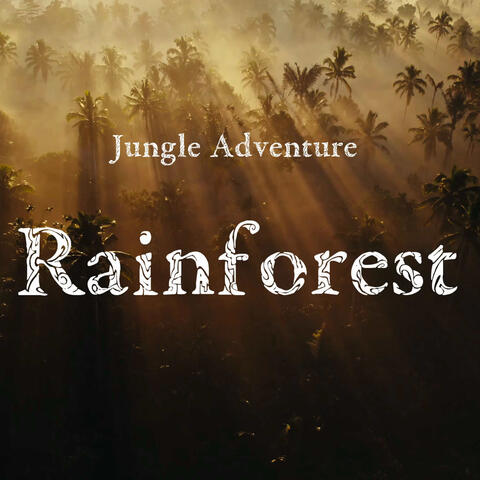 Rainforest album art