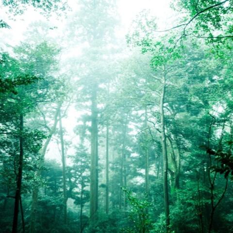 九度山の 真田幸村 album art