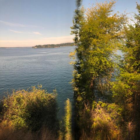 Aluminum Q at the RC Park Bins album art