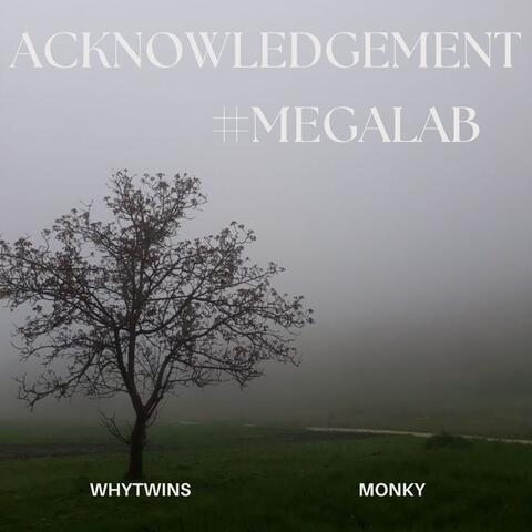 Acknowledgement #MEGALAB album art