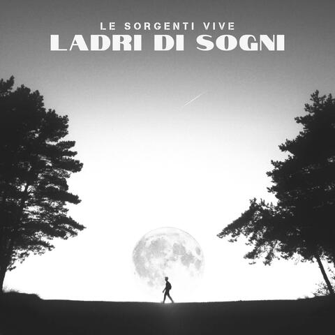 Ladri Di Sogni album art