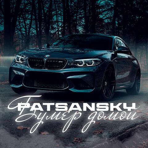 Бумер домой album art