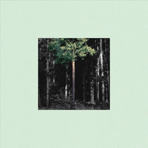 Folk Like Us album art