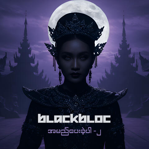 အမည်ပေးခဲ့ပါ ၂ album art