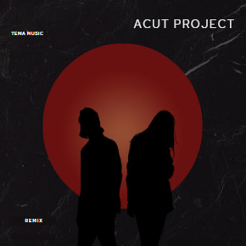 Bersama Menggapai Impian album art