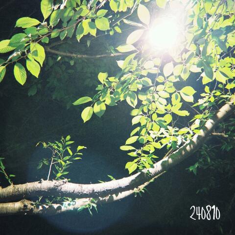 240810 album art
