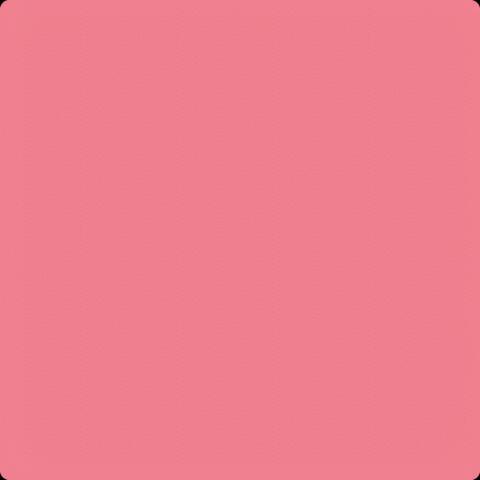 topoppgen flow album art