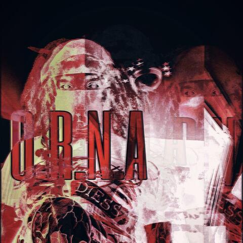 O.R.N.A album art