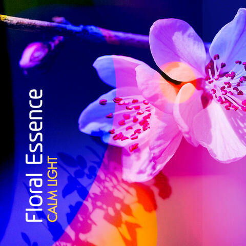 Floral Essence album art
