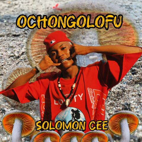 OCHONGOLOFU album art