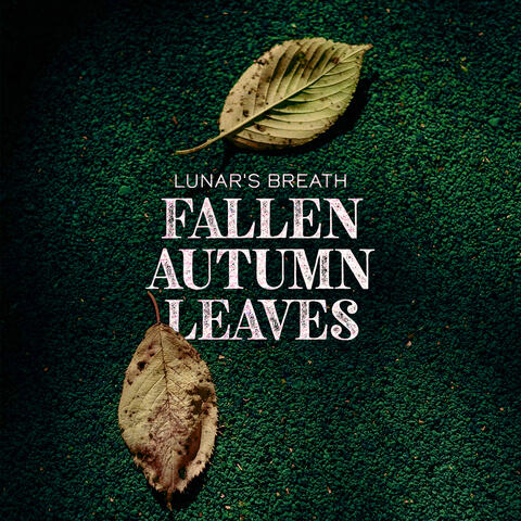 Fallen Autumn Leaves album art
