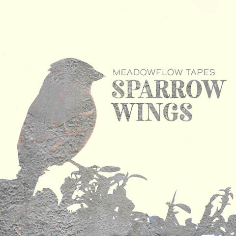 Sparrow Wings album art