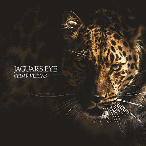 Jaguar’s Eye album art
