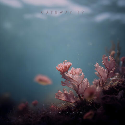 Soft Glocken album art