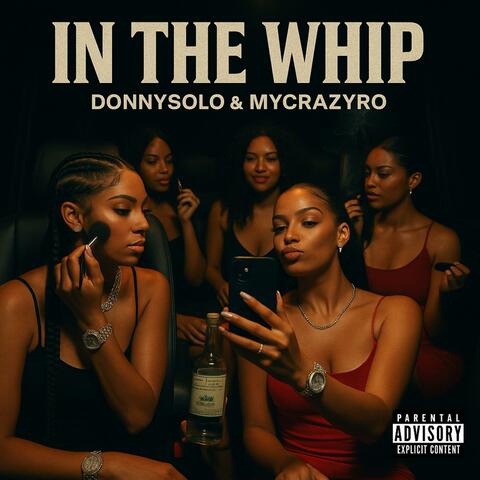 In the Whip album art
