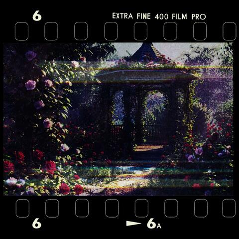 ROSE GARDEN album art