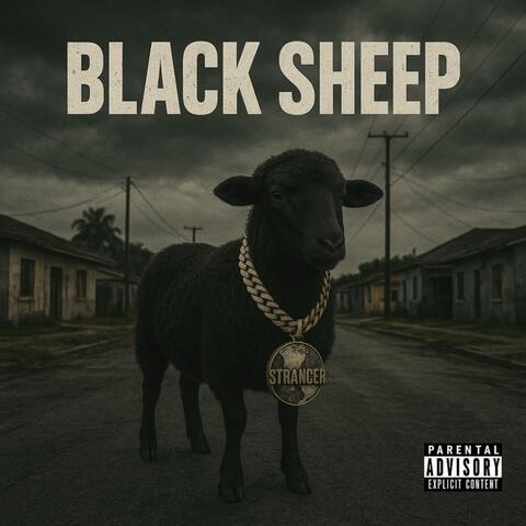 Black Sheep album art
