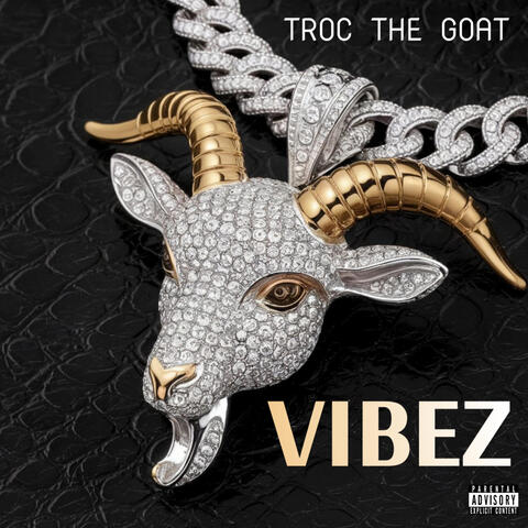VIBEZ album art