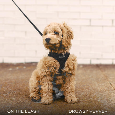 On The Leash album art