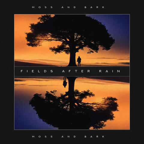 Fields After Rain album art