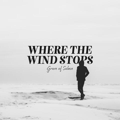 Where The Wind Stops album art