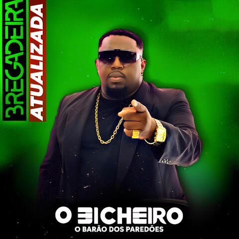 Bregadeira Atualizada album art