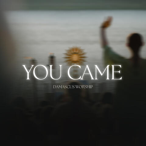 You Came album art