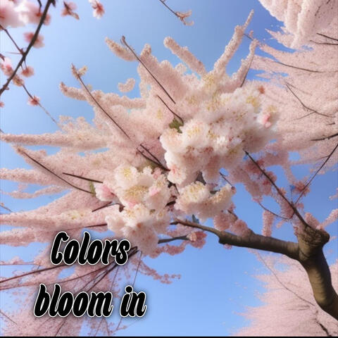 Colors bloom in album art