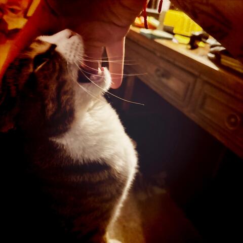 the war home album art