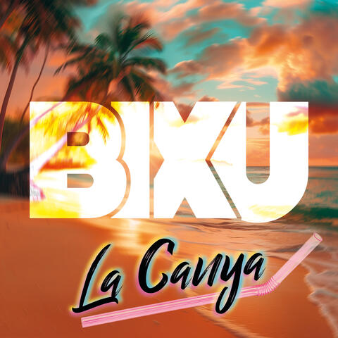 Bixu album art