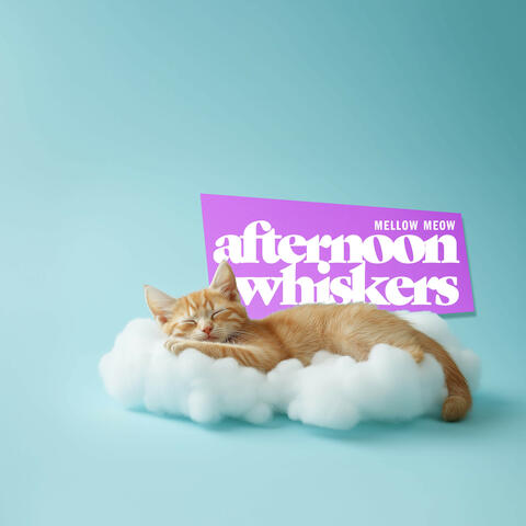 Afternoon Whiskers album art
