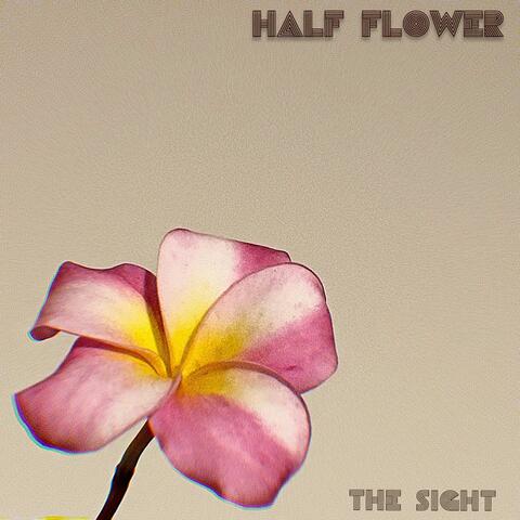 The sight album art