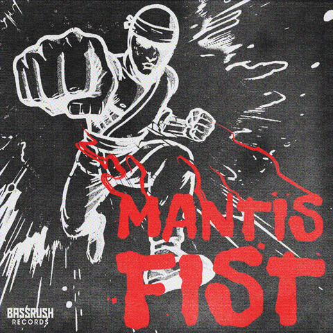 Mantis Fist album art