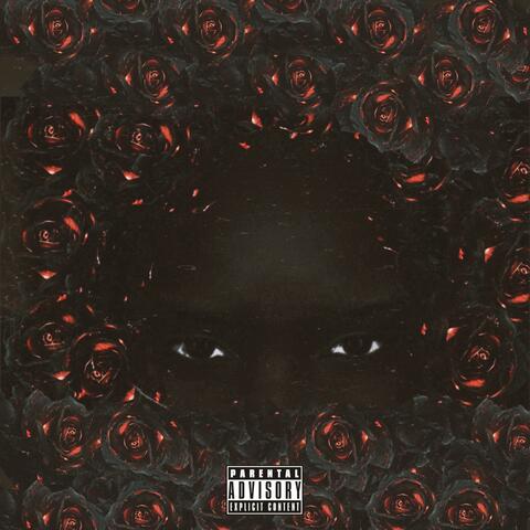 2MT album art