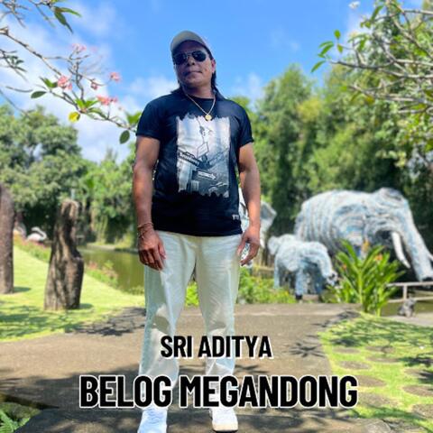 BELOG MEGANDONG album art
