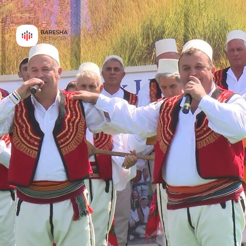 Lura e lashtë e vllazerisë album art