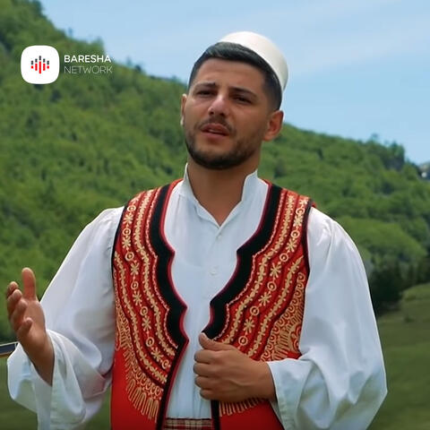 Ani flokt e cucës album art