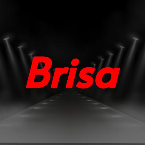 Brisa album art