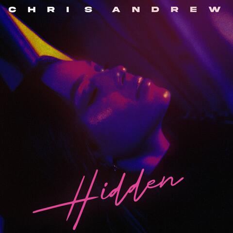HIDDEN album art