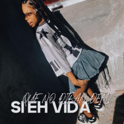 Que No Diran DEMI album art